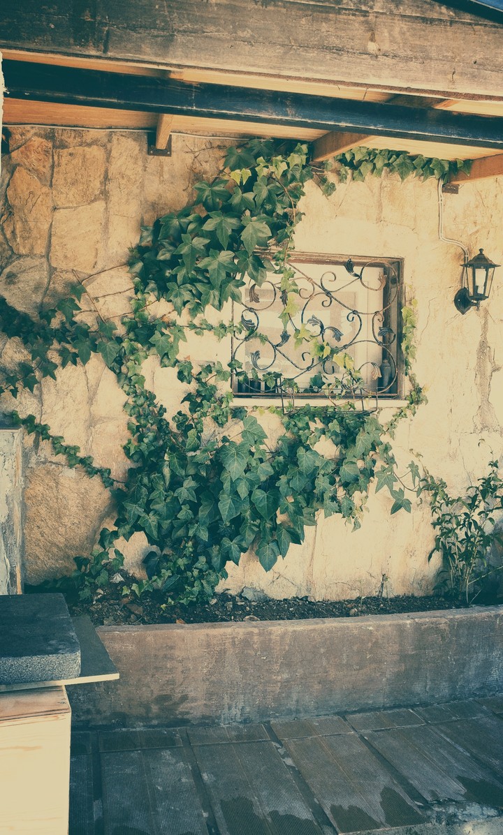 wall