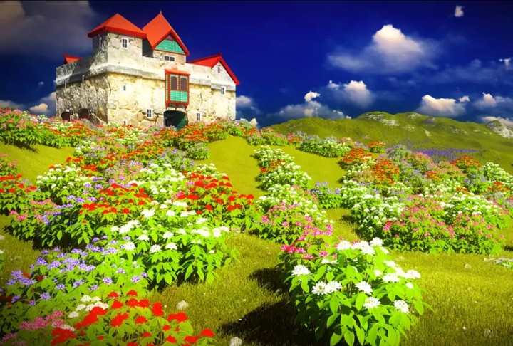 Village