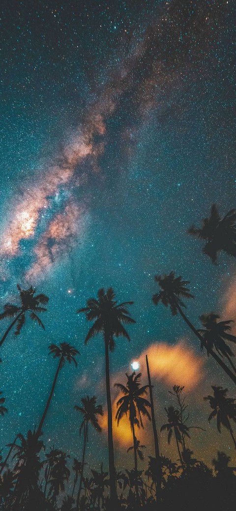 such a peaceful picture