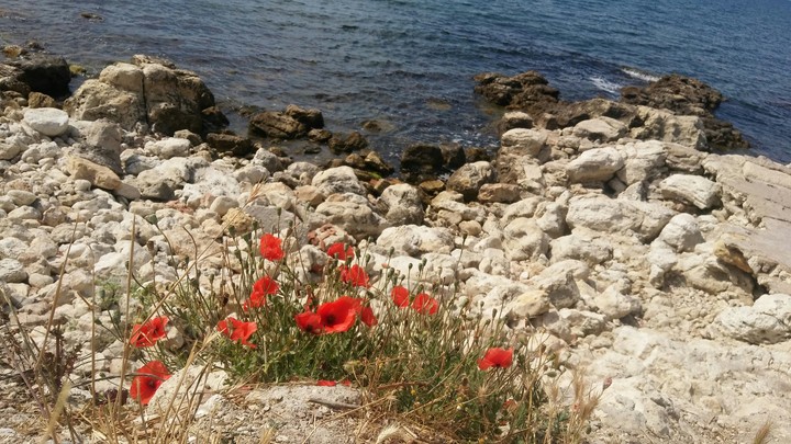 Crimea