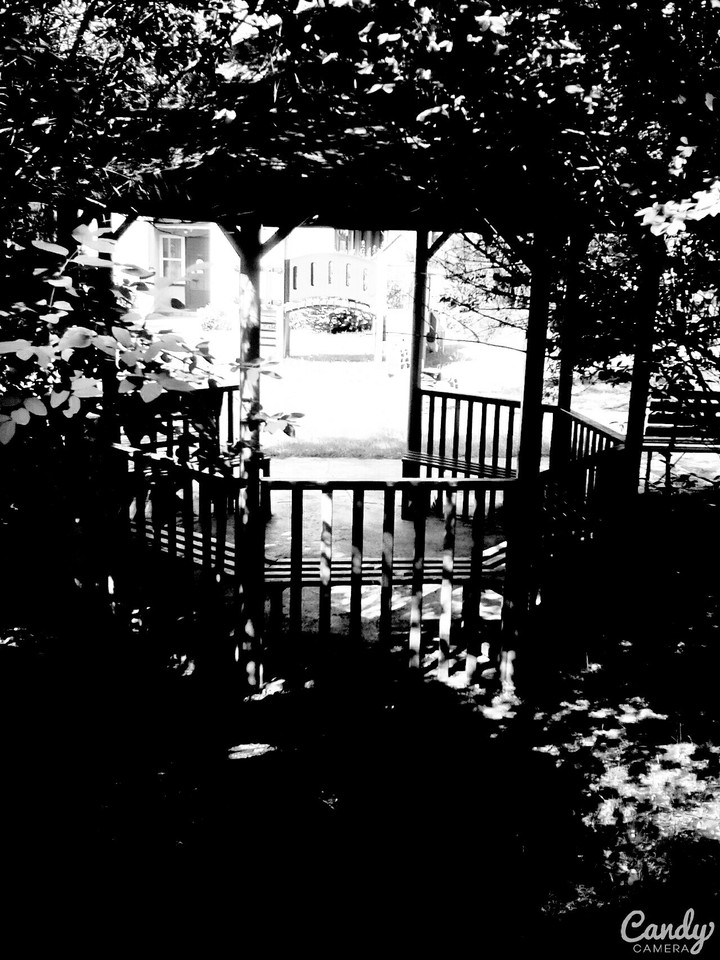 Black and White