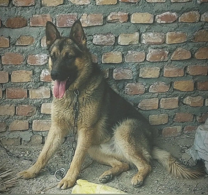 .