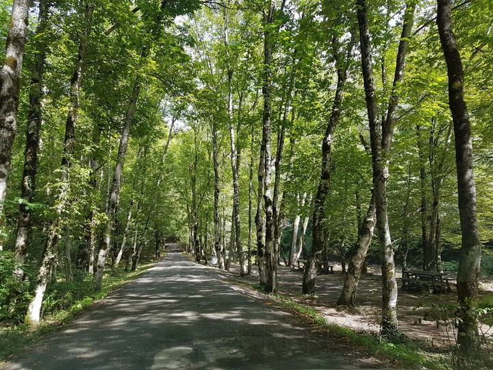 secret road