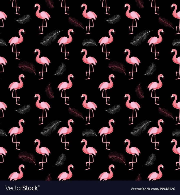 flamingo dark