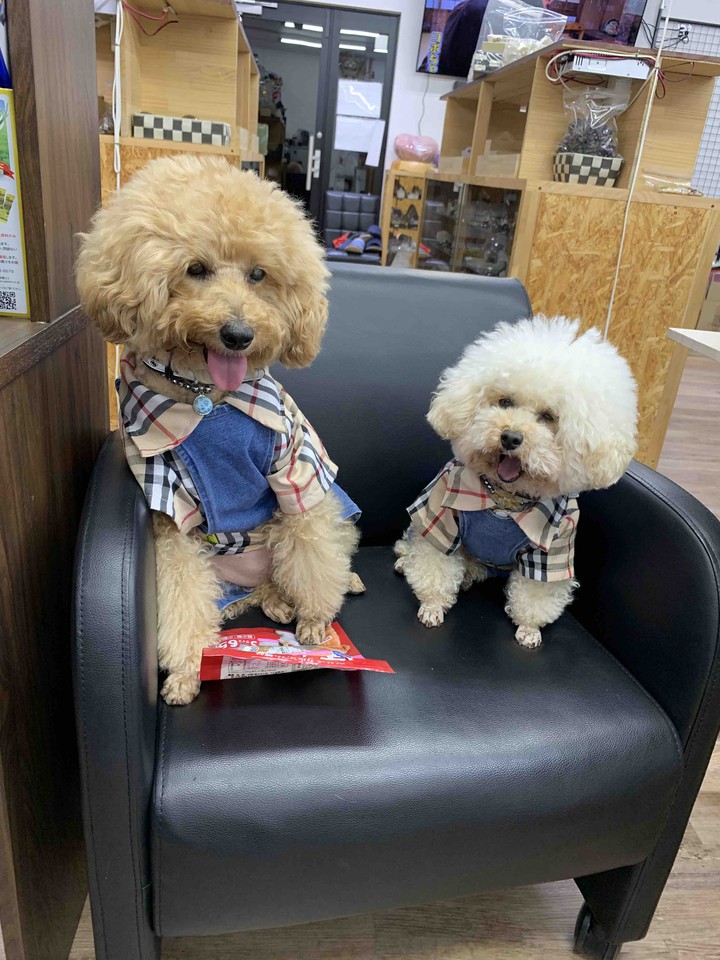 Lucky & Money