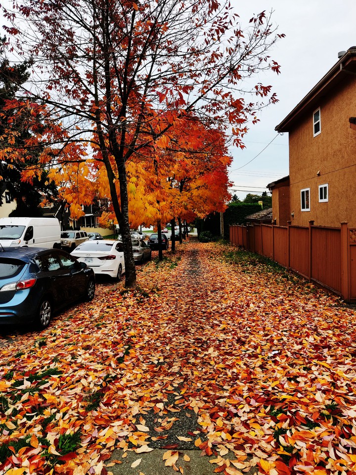 fall