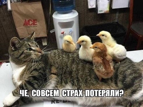 вообще потеряли)))