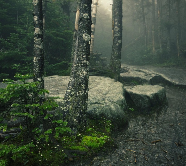 Beautiful path