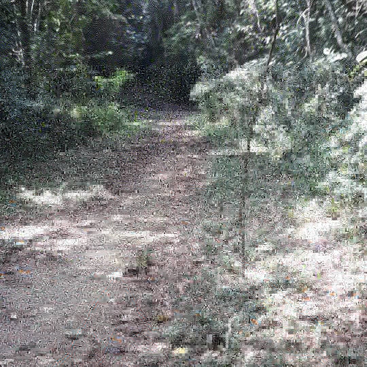 Cemucam Park
