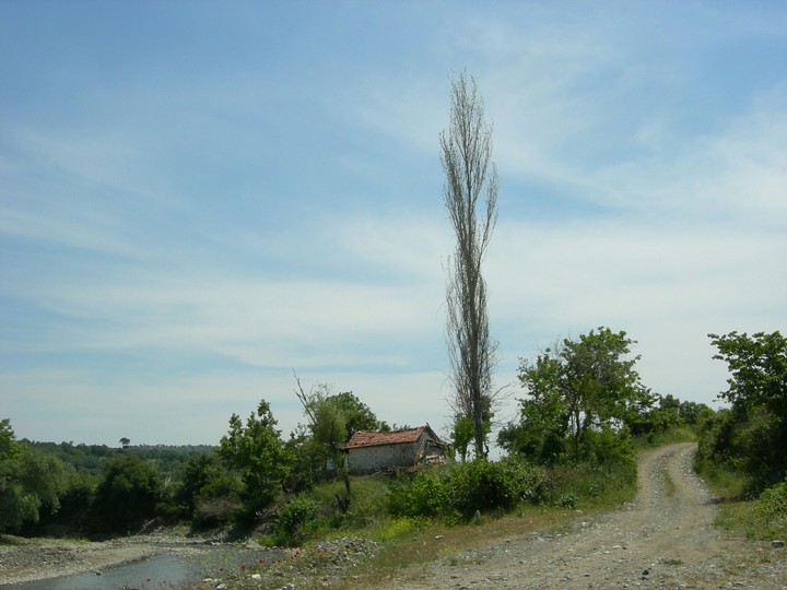 Nice House