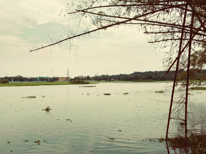 Lakes