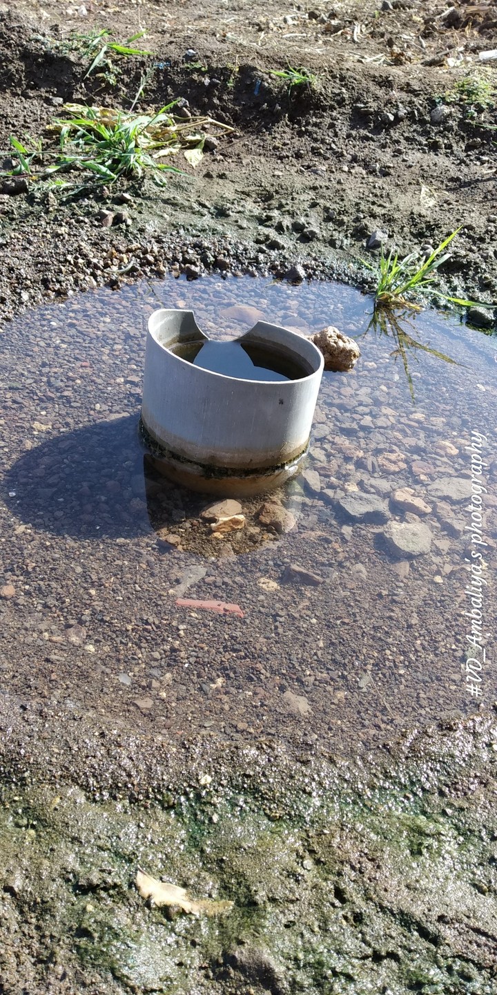 NATURE