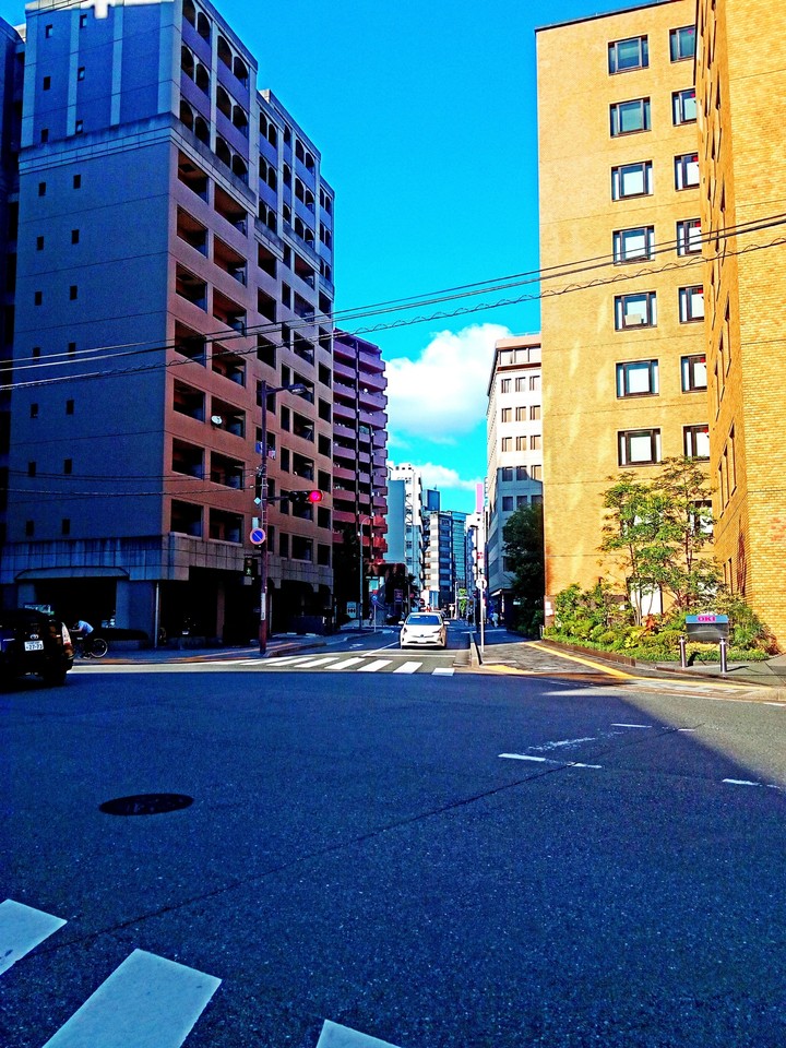 good weather to wander around