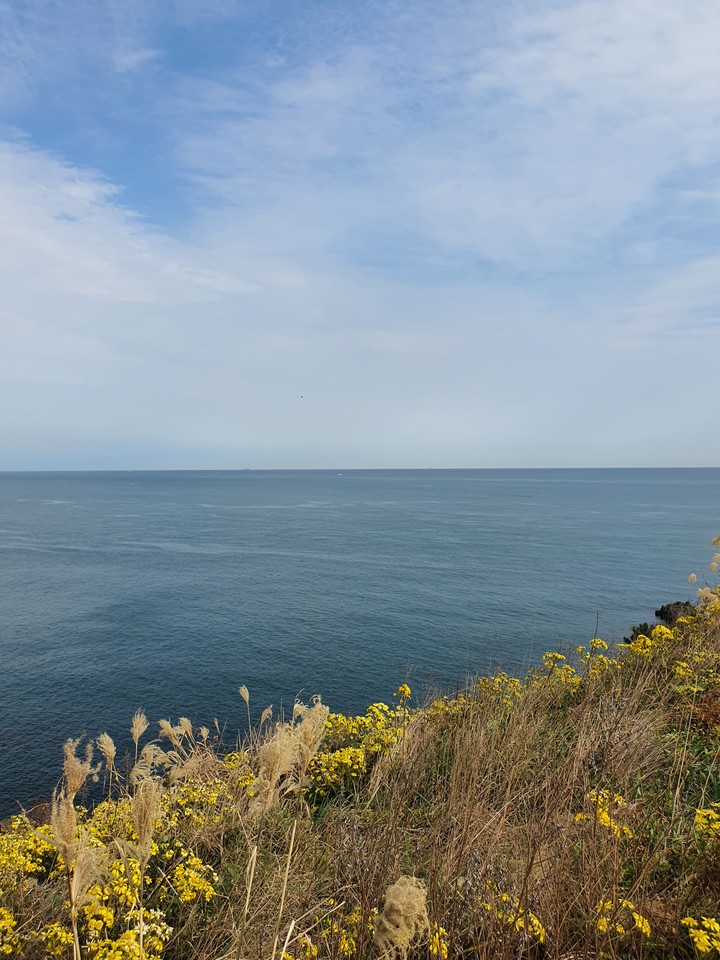 sea