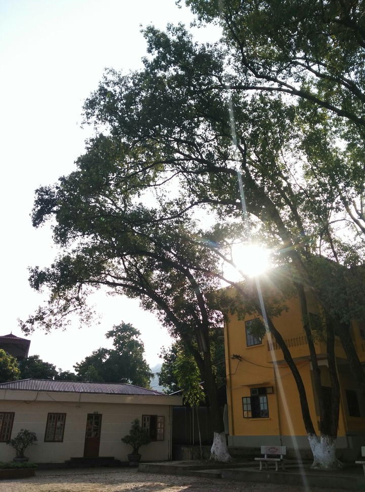 school
