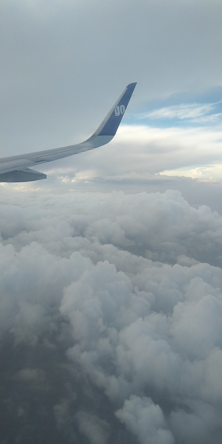 fly high