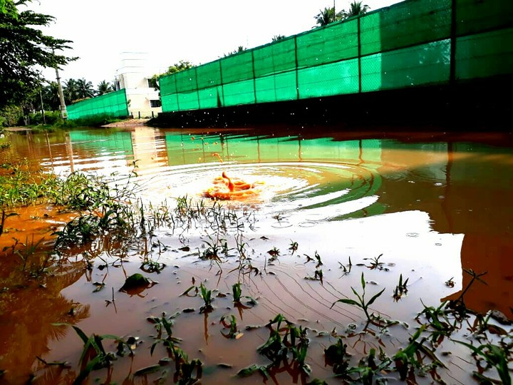 Floody memories...