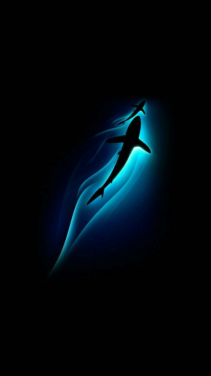 shark