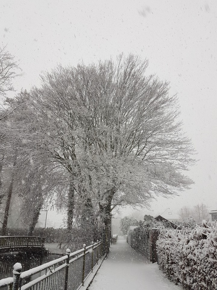 Winterfeeling
