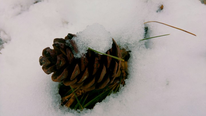snowy day