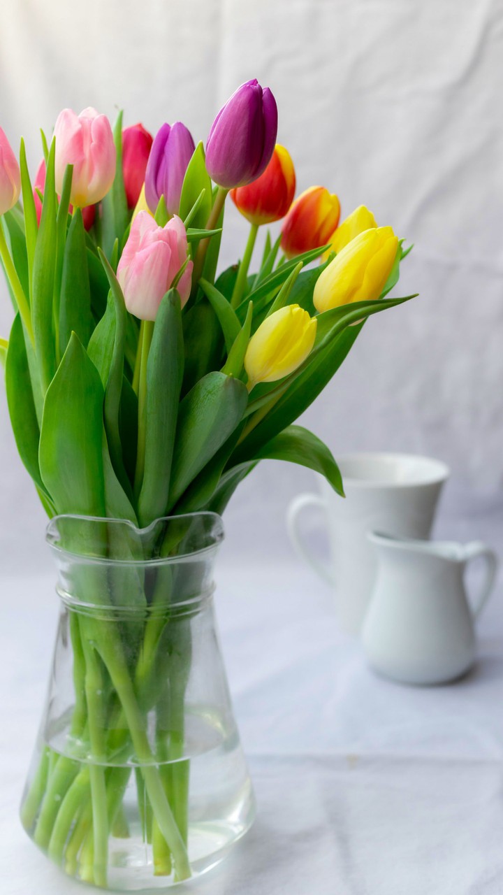 good morning..........