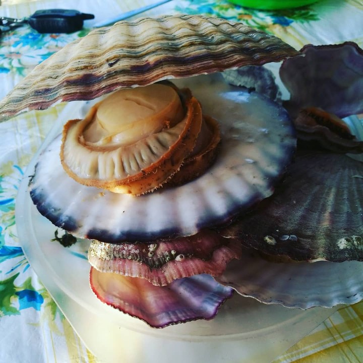 море