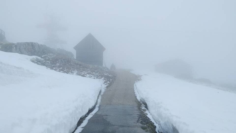 Snow