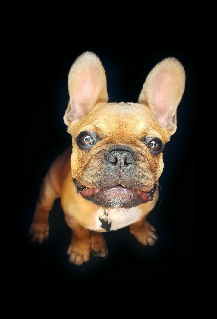 Samu 
