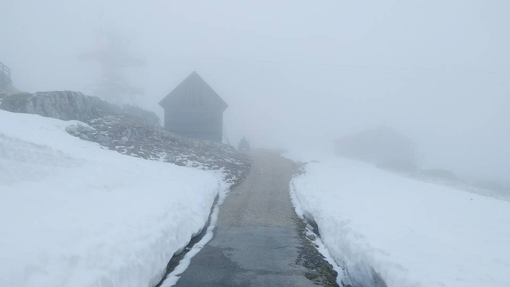 Snow
