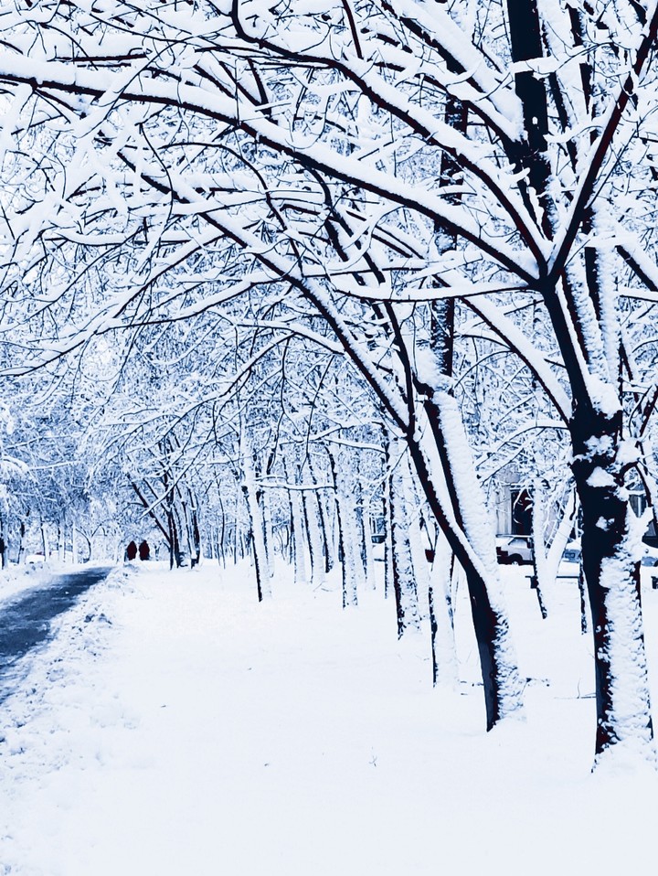 Winter day