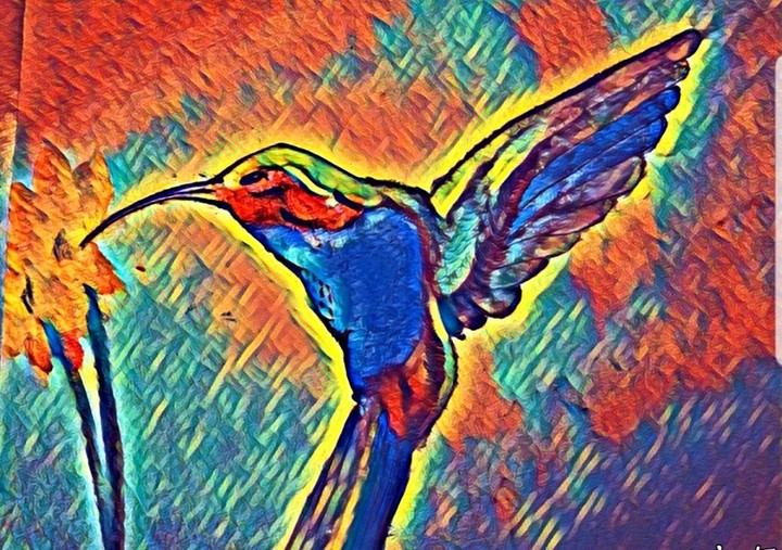 kolibri