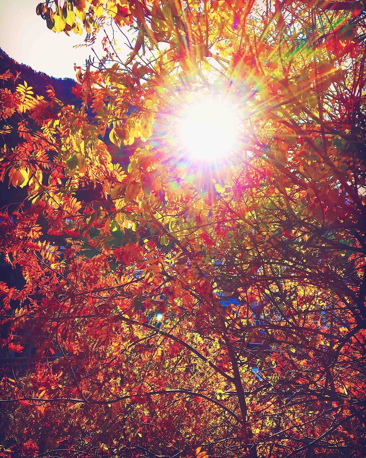 Catchin’ the sun
