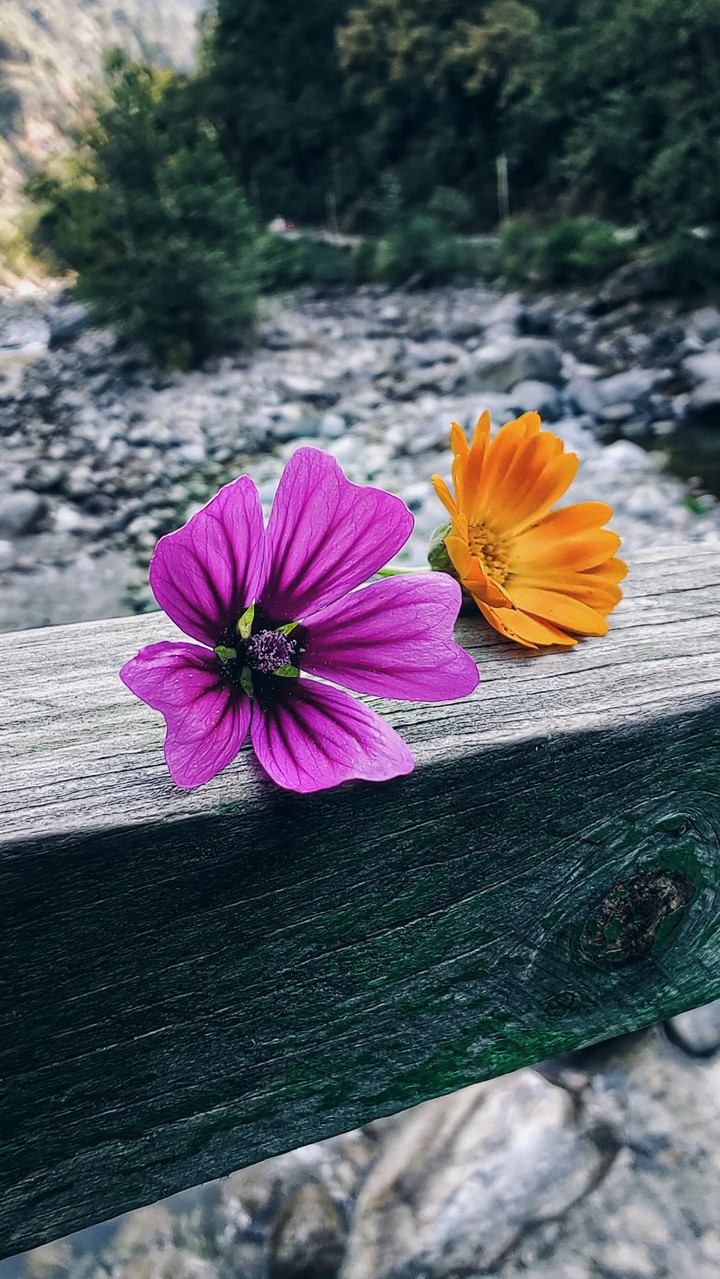 .