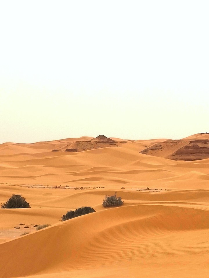 Desert