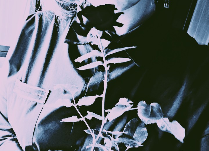 rose