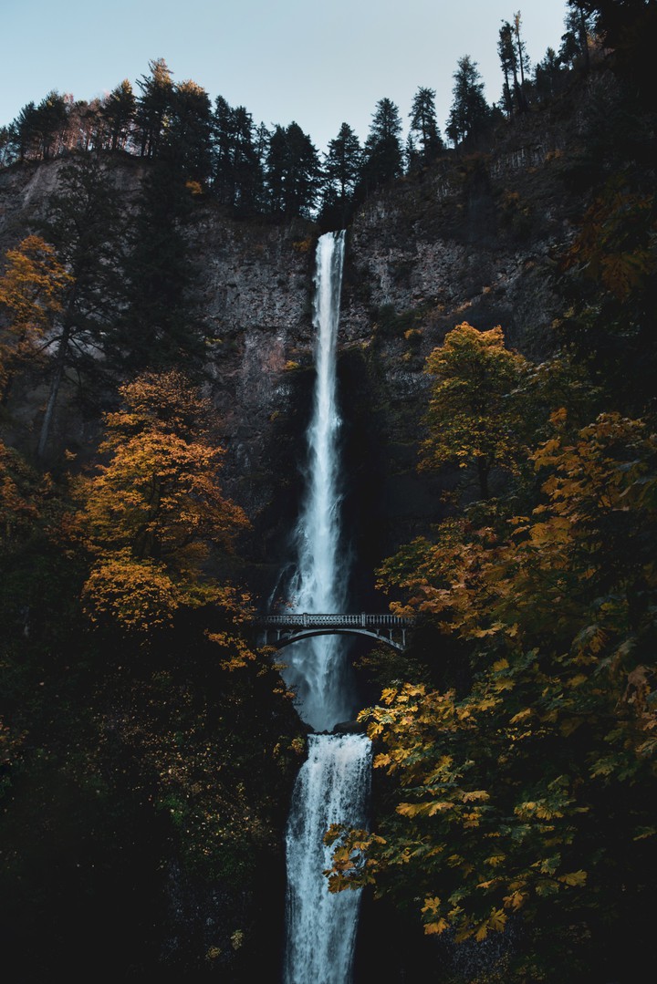 WALLPAPER _ Falls