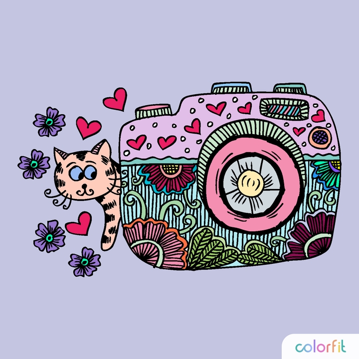 colorfit