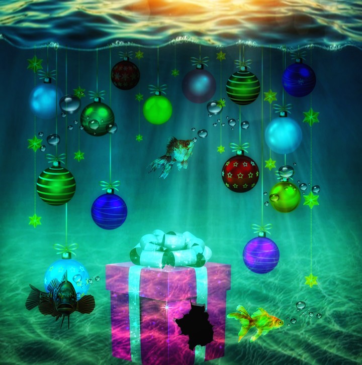 Christmas 
