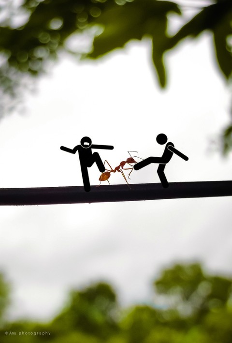 funny creation