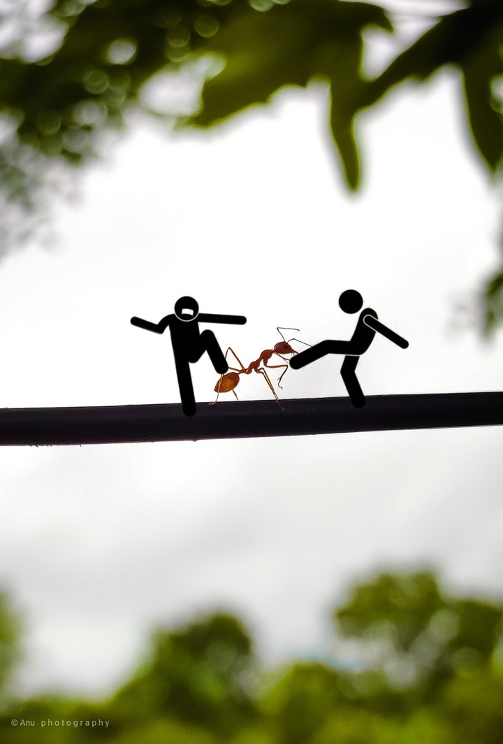 funny creation