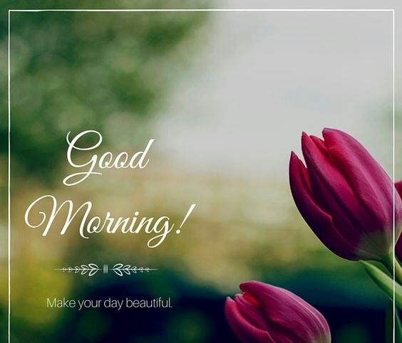 a nice morning