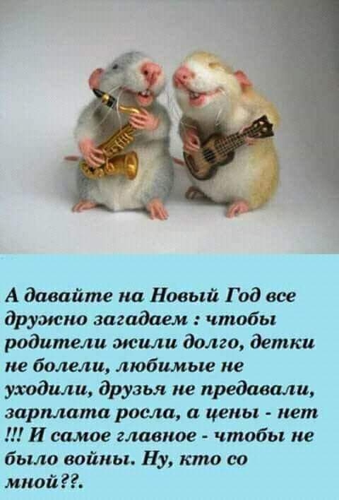Мышки