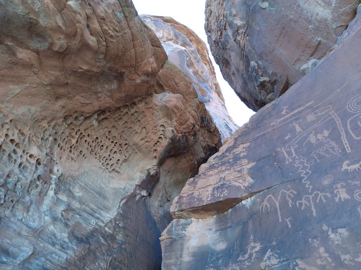 Cave Paintings