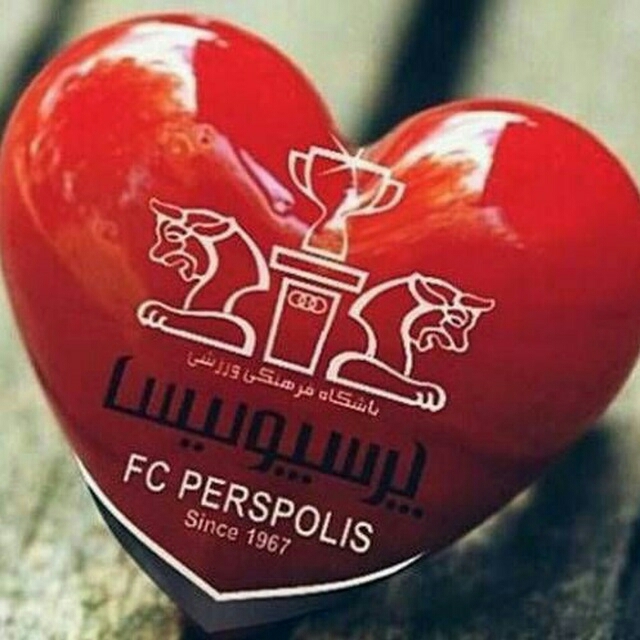 ⚽⚽⚽⚽