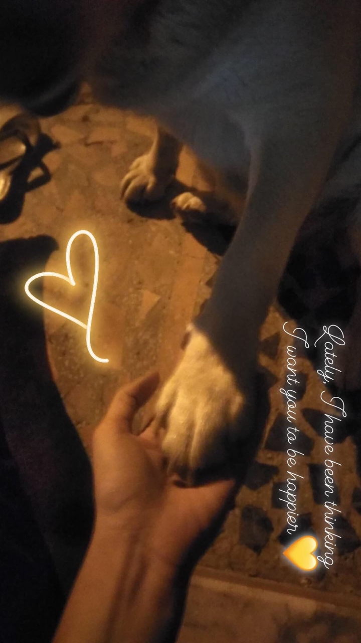 doggy
