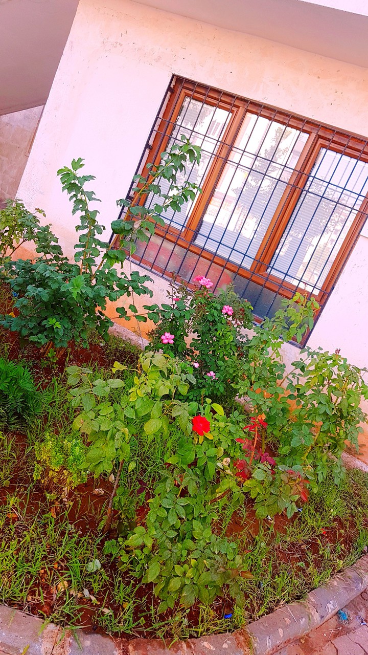 Pencere