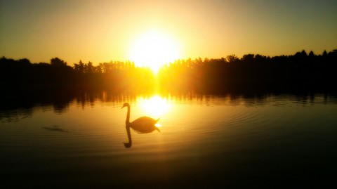 Lake