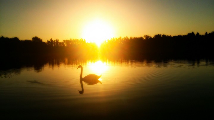 Lake