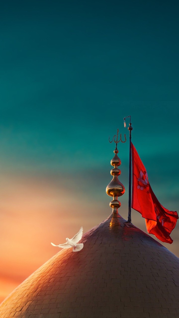 کربلا قبله دل ها