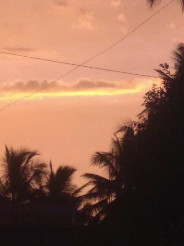 natural nature